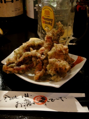 hachimaru20100427-003.JPG