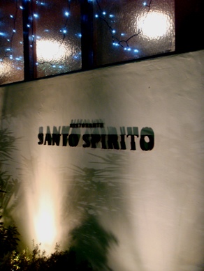 stspirit20091218-001.JPG