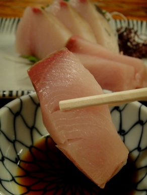 masumoto20100309-004.JPG