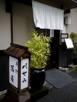 kawasemi20110602-001.JPG