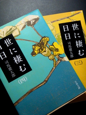 mashibashi20090131-001.JPG
