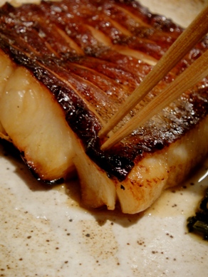 kikuura20100428-006.JPG