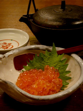 takahashi20091208-006
