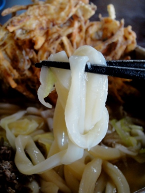 shintaku20100413-005.JPG