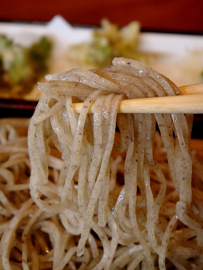 sekishin20090330-005.JPG