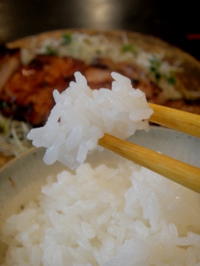 niwacoya20100513-007.JPG