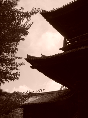 nanzenji20081018-003.JPG