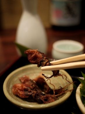 kawasemi20110602-004.JPG