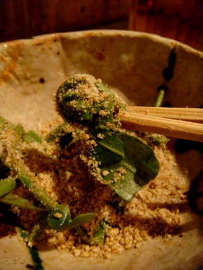 kamon20090317-008.JPG