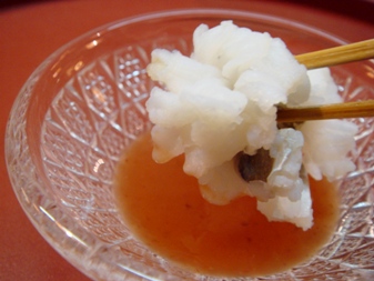 wabi20080310-002.JPG