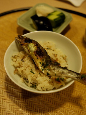 sakurada20100810-017