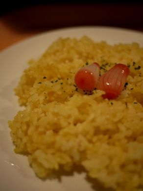 gane20110415-002.JPG
