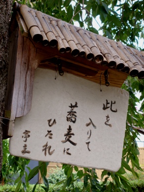 ikko20090713-002.JPG