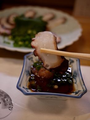 chikara20110316-002.JPG