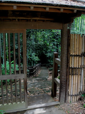 omcafe20100621-006