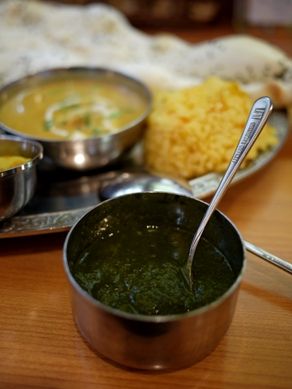 bhandari20110214-003.JPG