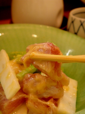 akashi20090327-008.JPG