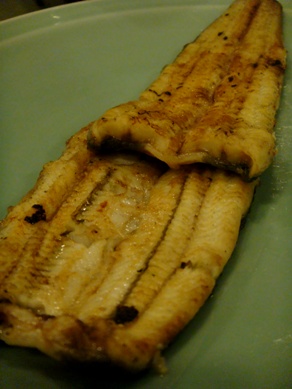 fujita20090128-005.JPG