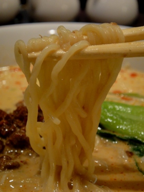 bikaen20100402-004.JPG