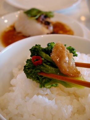 masa20090520-006.JPG
