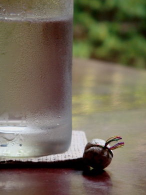 kosoan20090629-004.JPG