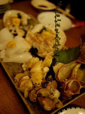 nakamura20101125-003.JPG