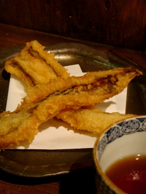 kamon20090317-005.JPG