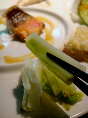 nouka20090518-006.JPG