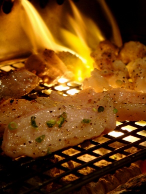 fukuchan20080905-007.JPG
