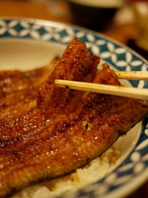 miyagawa20110705-008.JPG