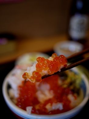 kikusui20110628-006.JPG