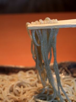 ikko20110407-007.JPG