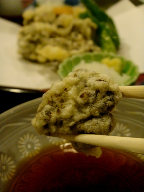 fujita20090128-004.JPG