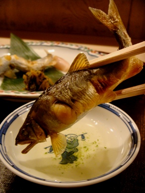 nakagawa20080927-009.JPG