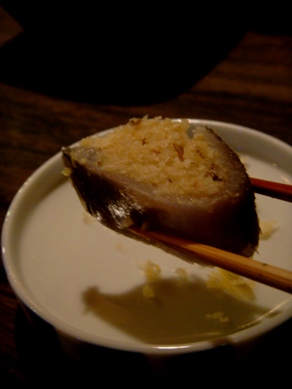 robo20090722-005.JPG