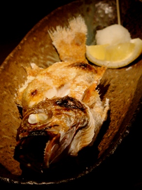 yakichi20091130-007.JPG