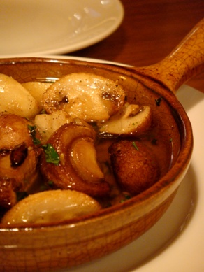 buco20081024-002.JPG