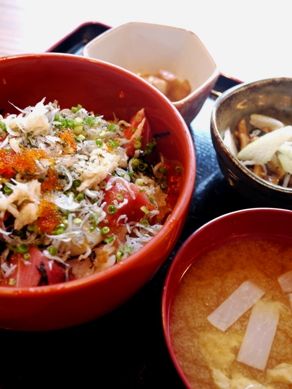 hattori20101003-003.JPG