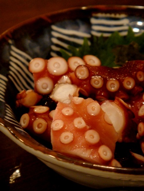gakuya20090403-008.JPG