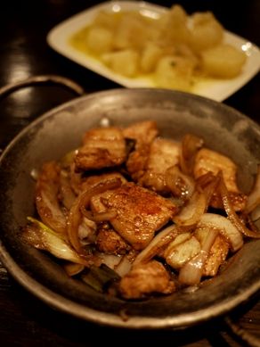 plancha20110225-004.JPG
