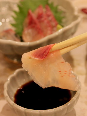 inakoyu20100122-008