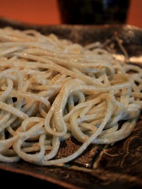 ikko20110407-006.JPG