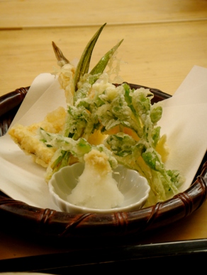 yamashita20090210-009.JPG