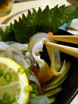 menbo20080227-005