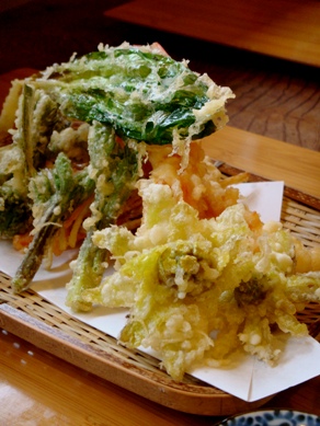 miyazawa20090511-001.JPG
