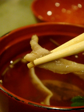 fujita20090128-009.JPG