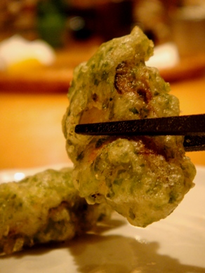 hibiki20091228-010.JPG