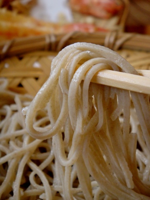 miyazawa20090511-005.JPG