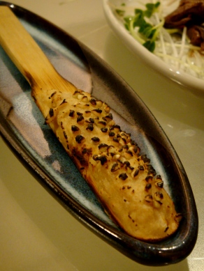 yoshiki20090622-007.JPG