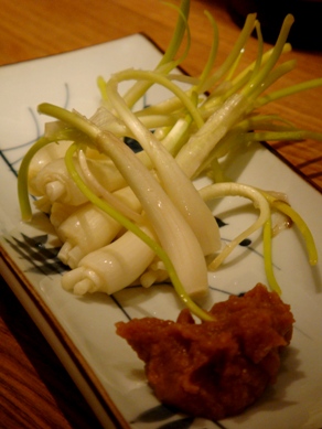 amami20090402-003.JPG